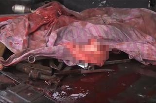 DRASTYCZNE! Rosyjskie BESTIE nie znają litości! Krew, [ZDJĘCIA i WIDEO +18]