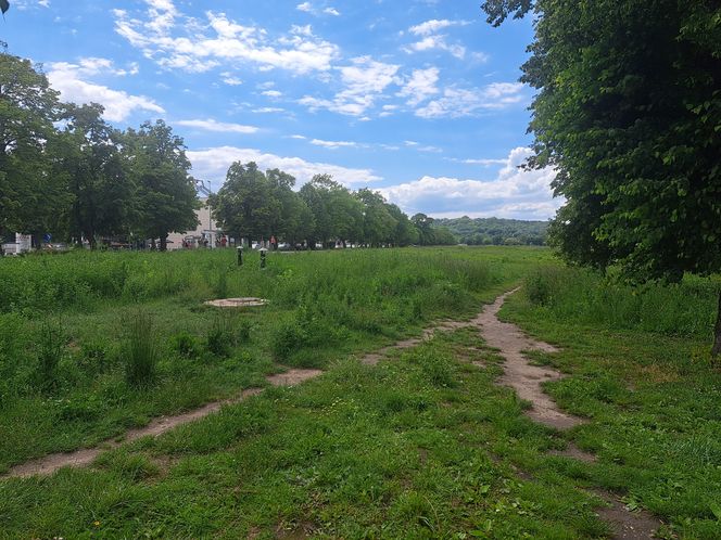 Błonia w Krakowie