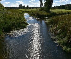 Białowieski Park Narodowy