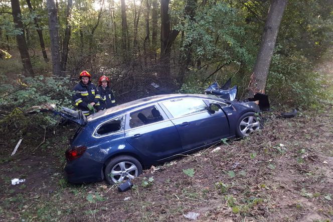 Niedzielną przejażdżkę zakończył na drzewie