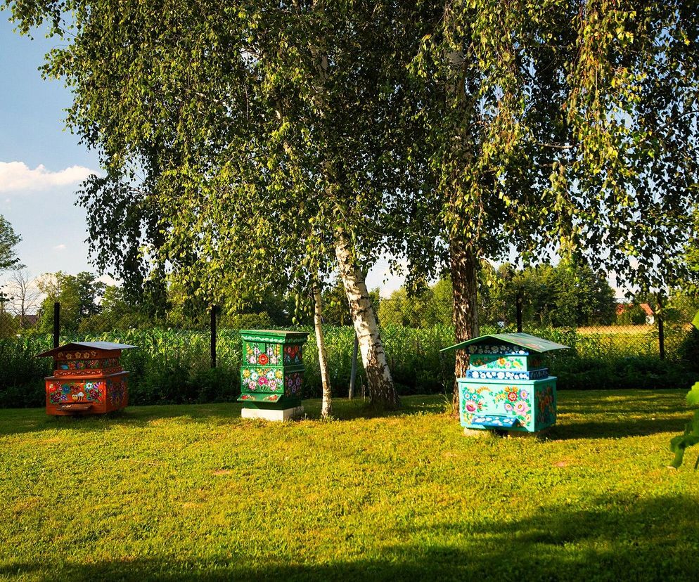 To najpiękniejsza wieś w Małopolsce według AI. Jej ozdobą się malowane domy