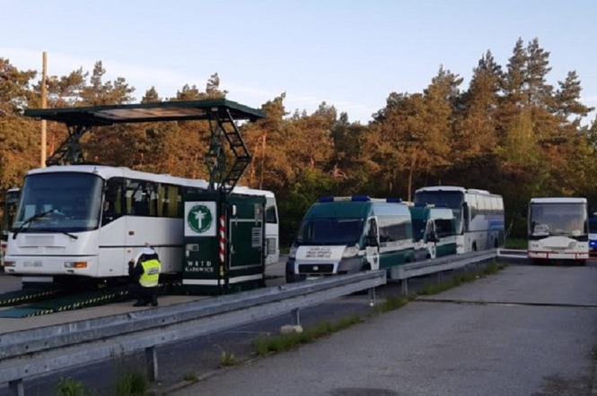 Inspektorzy ITD skontrolowali stan techniczny autokarów. Na 6 pojazdów i tylko jeden bez usterek