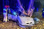 Poważny wypadek w Toruniu. Tak wyglądało auto po uderzeniu w drzewo