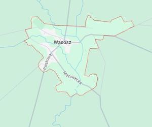 Wąsosz