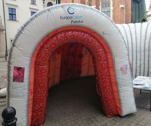 Wielkie jelito grube w centrum Krakowa