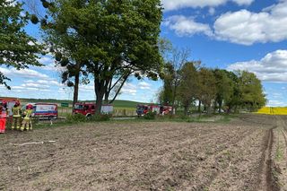 Śmiertelny wypadek pod Olsztynem. 39-latek zignorował znak stop? [ZDJĘCIA].