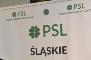 PSL dwukrotnie zwiększył liczbę radnych w sejmiku śląskim