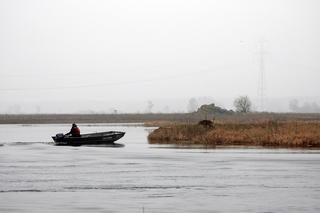 Rudy utknął na rozlewiskach Narwi – pomogli strażacy