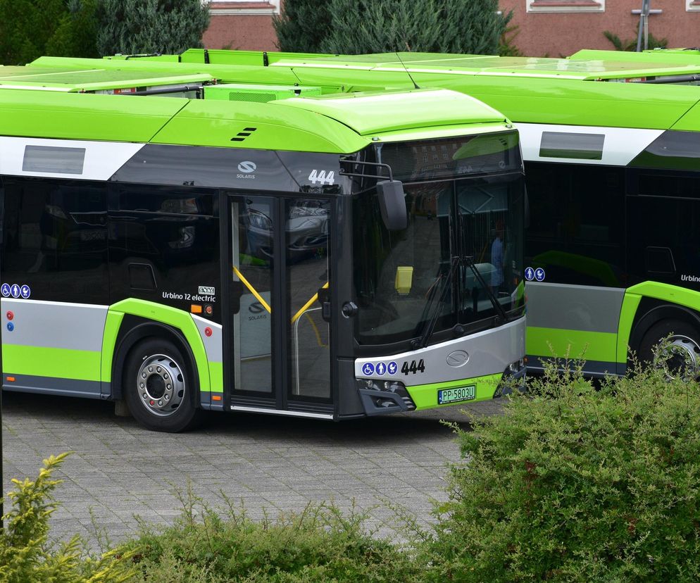Nowe autobusy bez spalin! Piła rozwija zielony transport