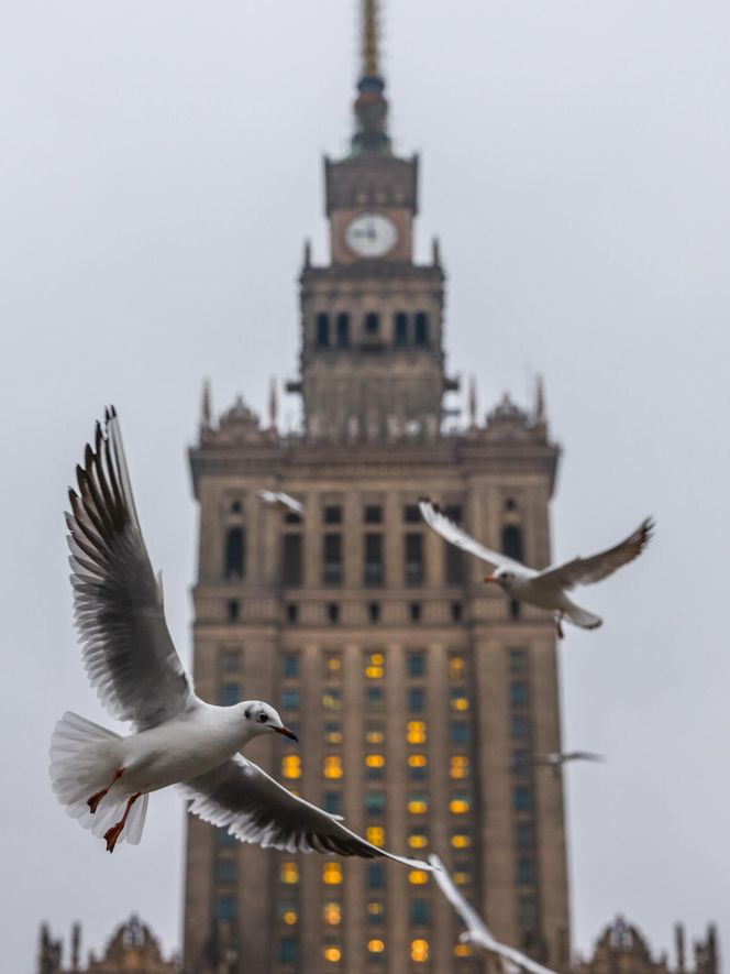 Od 18 lat jest uznawany za kultowy zabytek. To jeden z nieodłącznych symboli Warszawy