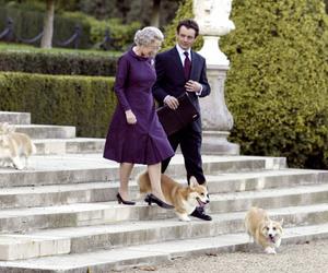 Psy Królowej Elżbiety II. Podczas jej panowania w pałacu mieszkały corgi, spaniele i wiele innych 