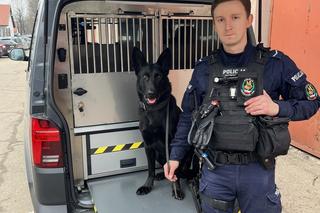 Małopolscy policjanci otrzymali radiowozy służące do przewozu psów służbowych