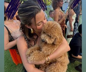 Julia Wieniawa na Bali