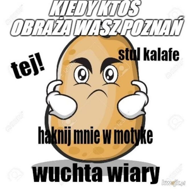 Tak internet się śmieje się z Poznania! Zobacz najlepsze MEMY!