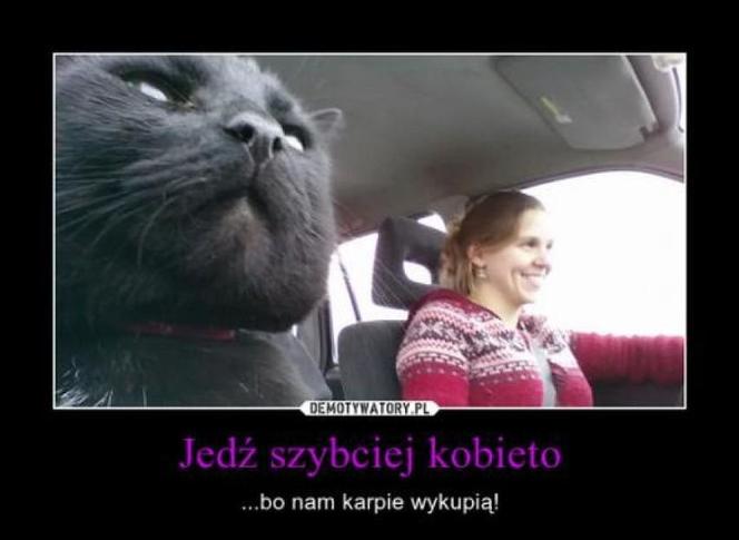 Najlepsze memy o świętach! Wszyscy znacie TE sytuacje