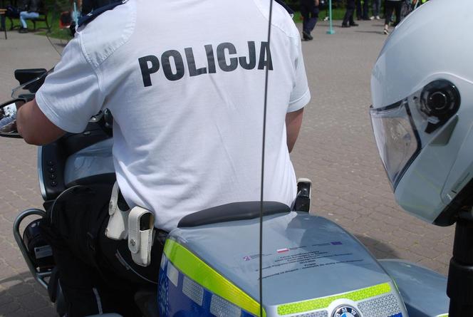 Kara za brak „kartonika” dla kierowców. Zmiana obowiązuje od lipca 