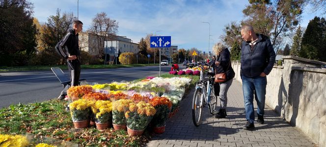 Przygotowania do Wszystkich Świętych Zamość