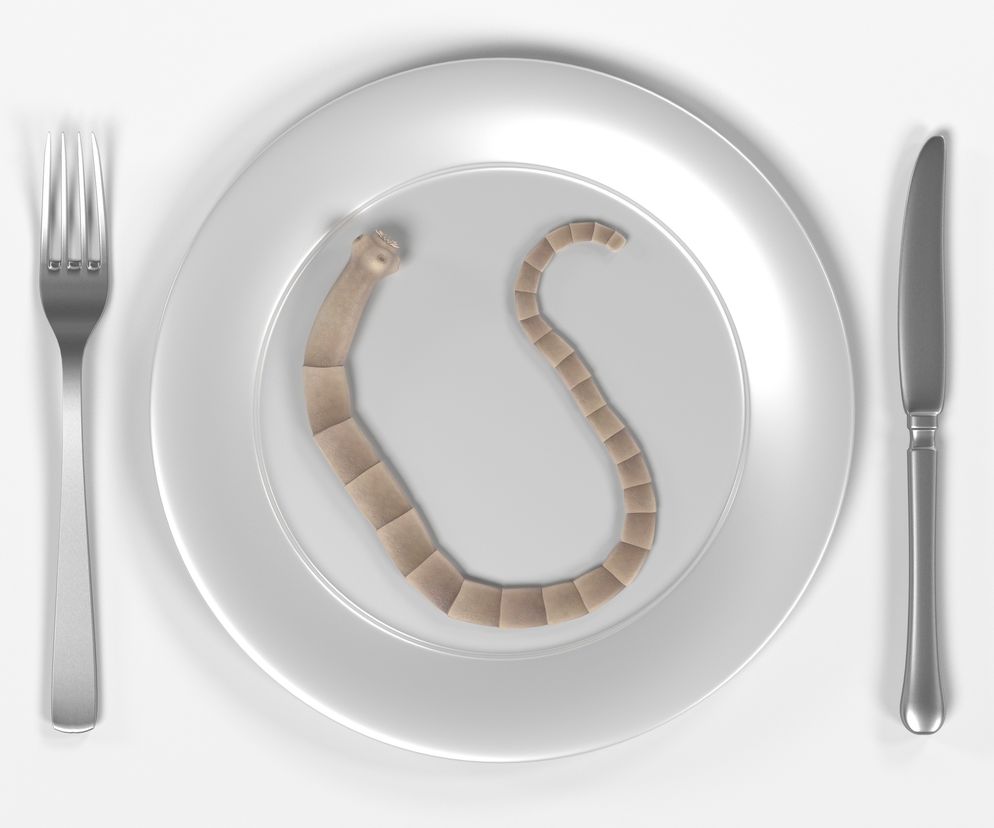 Tabletki z tasiemcem: dieta tasiemcowa groźna dla zdrowia. Śmiertelnie groźne tabletki z tasiemcem?