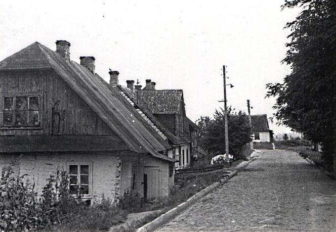 Krasnystaw