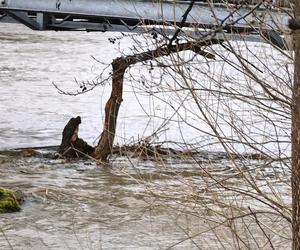 Rzeka Pasłęka pzrekroczyłą stan alarmowy