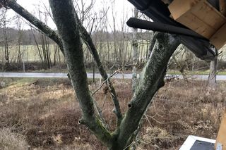 Drzewo spadło na dom Andrzeja Dudy 