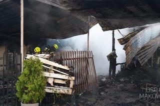 Pożar smażalni ryb w pod Bydgoszczą! Ogromne straty [ZDJĘCIA]