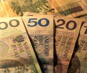 Renta wdowia. Zbliża się ważny termin w ZUS. Wniosek trzeba złożyć do końca lipca 2025