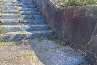 Amfiteatr w Zielonej Górze niszczeje. Tak wygląda we wrześniu 2024 r. 