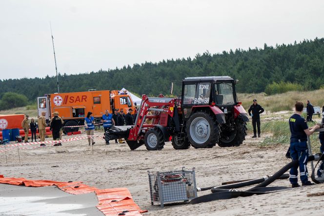 Balex Delta 2025