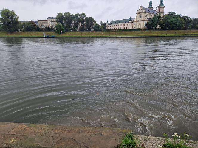 Deszcz w Krakowie znów sprawił, że Wisła zamieniła się w ściek. Przez miasto przełynęła rzeka papieru toaletowego, włosów i podpasek