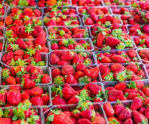 Główny Inspektor Sanitarny (GIS) komentuje. Truskawki zakażone wirusem trafiły do polskich sklepów