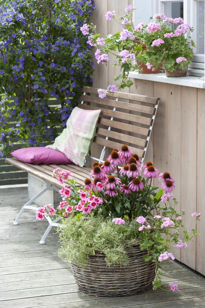 Różowa kompozycja kwiatowa na balkon i taras