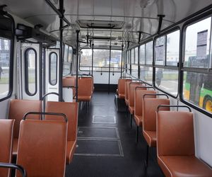 Katarzynki 2024 - wystawa autobusów przy Galerii Panorama