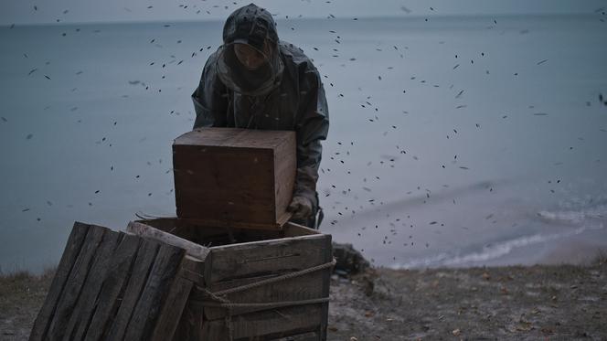 Tak powstawał film "Rój" 