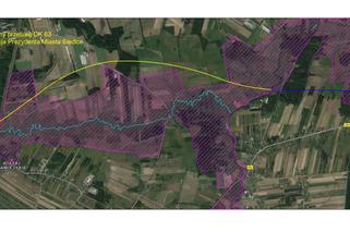 Jaką propozycję przebiegu obwodnicy zgłosiły do GDDKiA władze Siedlec? [AUDIO]