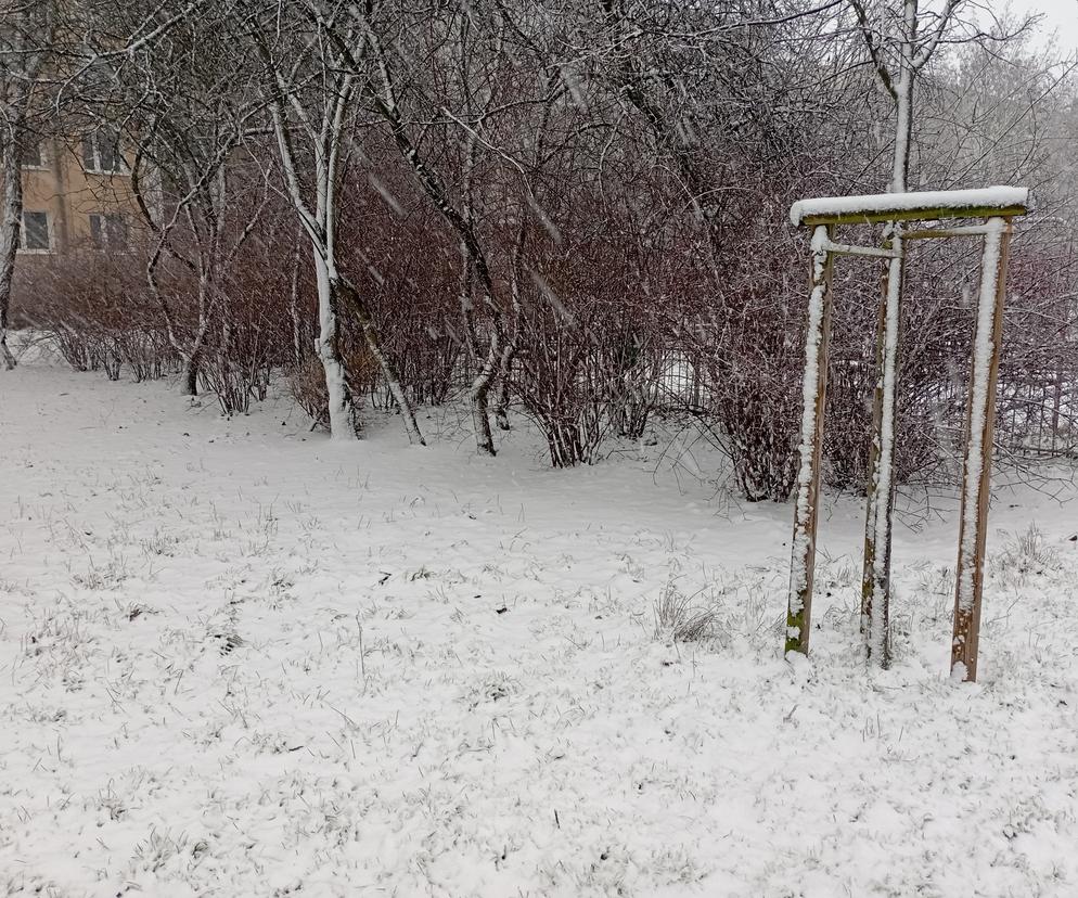 Zima wróciła do Poznania (21.01.2023)