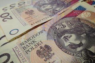 Nie brakuje chętnych do uzyskania renty wdowiej - Nowe dane