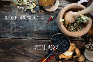  Jaki byłby twój zawód w średniowieczu? [GALERIA]