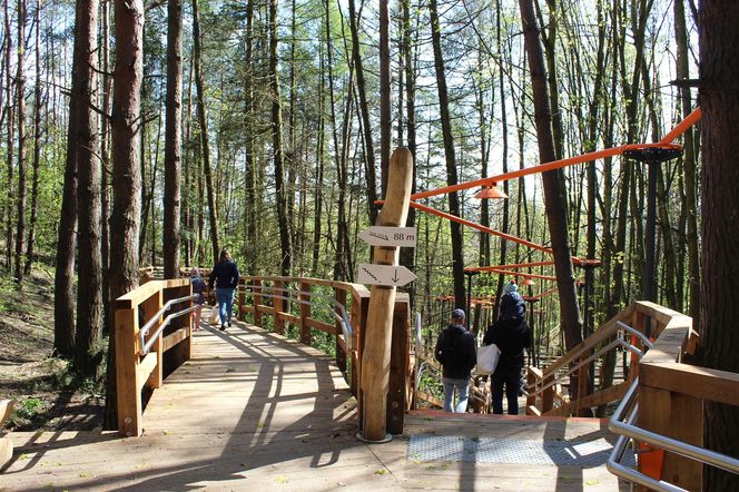 Park leśny na Oksywiu w Gdyni