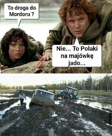Memy majówka 2025