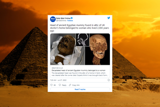 Głowa mumii znaleziona na strychu, była pamiątką z wakacji?