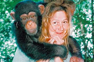 Szympans ZAATAKOWAŁ kobietę. Charla Nash DOSTANIE 4 mln dol., bo małpa zjadła jej PÓŁ TWARZY