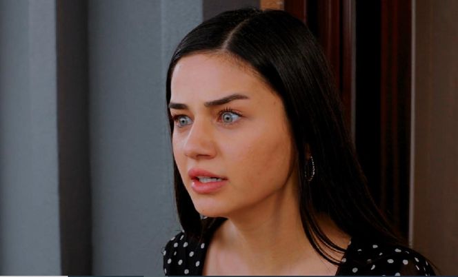 Miłość i nadzieja, odcinek 300. Bahar, Levent, Cavidan