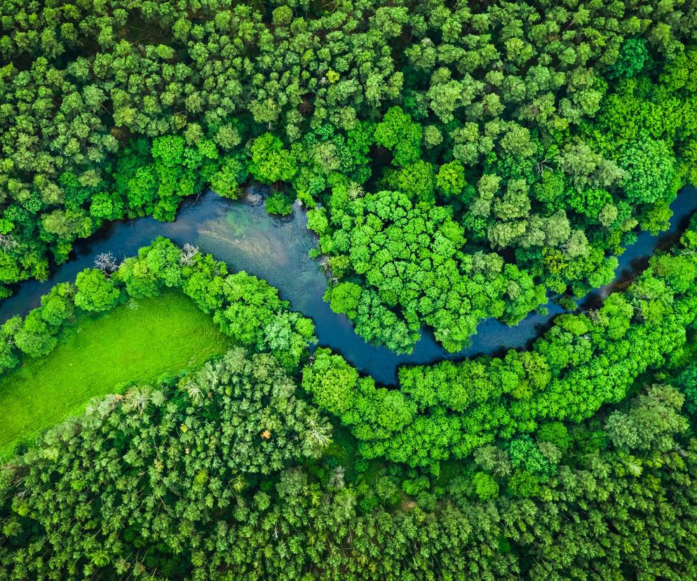 Polska wakacyjna: Park Narodowy Bory Tucholskie