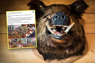 Skandal w przedszkolu! Dzieciom pokazywano skóry martwych zwierząt