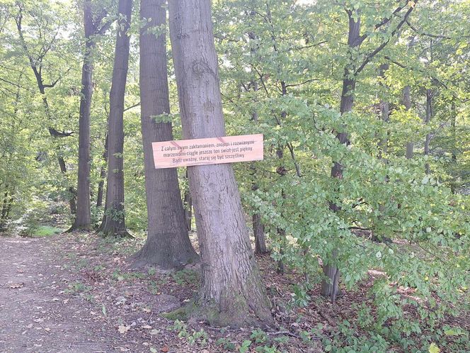 Arboretum Bramy Morawskiej zachwyca jesienią