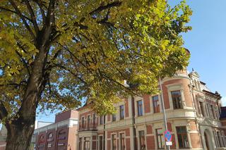 Ulica Świętojańska kiedyś i dziś. Drugiej takiej ulicy w Białymstoku nie znajdziecie