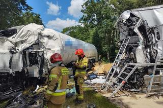 Śmiertelny wypadek na drodze krajowej nr 10 pod Bydgoszczą. Zderzyły się dwie ciężarówki