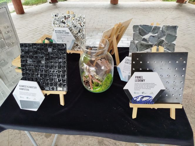 Dębowy Elektryczny Las został zasadzony nad Siedleckim zalewem w ramach programu Polska Stolica Recyklingu