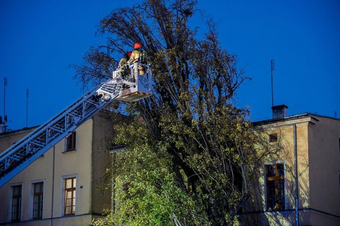 Polska pod naporem wichur! Strażacy nie mieli chwili wytchnienia
